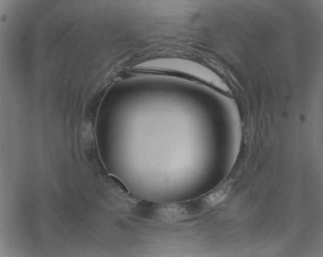 X0000077360521200611031849