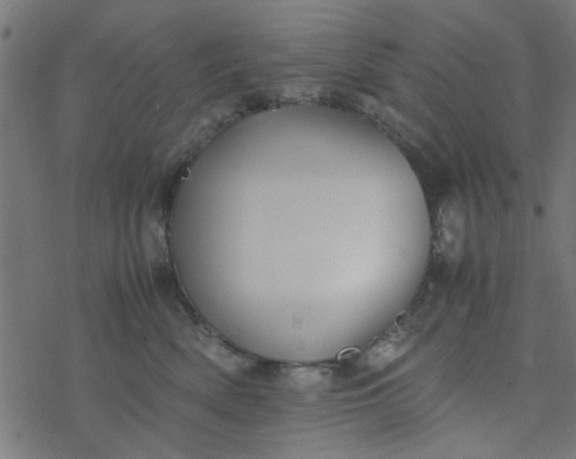 X0000077360522200611031849