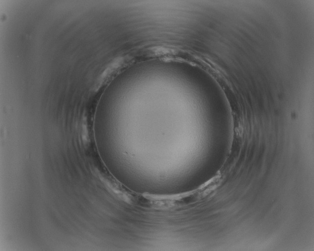 X0000077360524200611031849