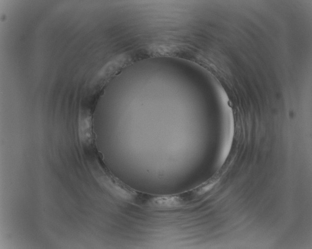 X0000077360526200611031849