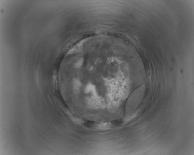 X0000077360527200611031849