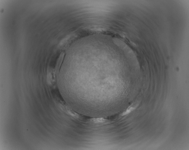 X0000077360528200611031849