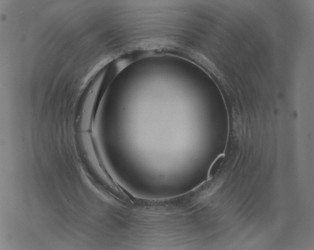 X0000077360530200611031848