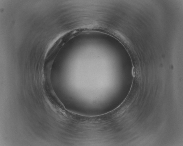 X0000077360532200611031848