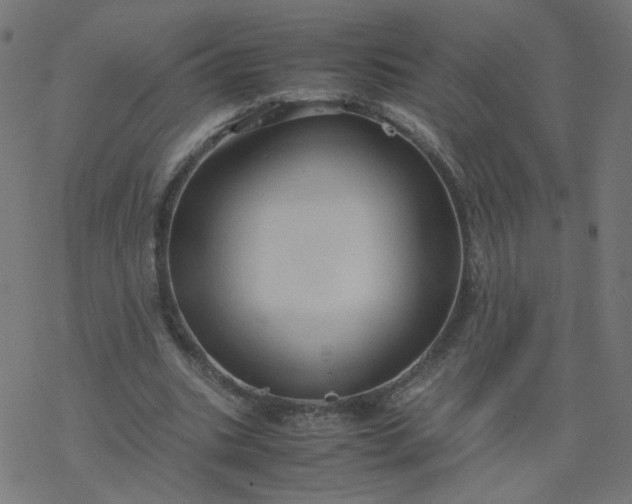 X0000077360535200611031848