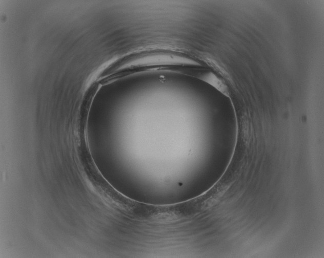 X0000077360536200611031848