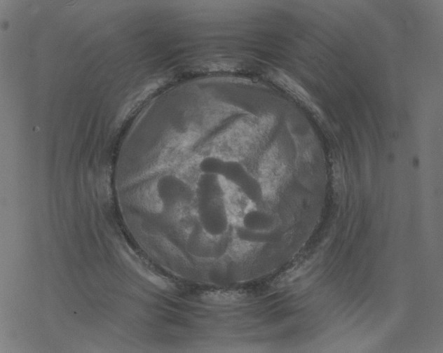 X0000077360537200611031848