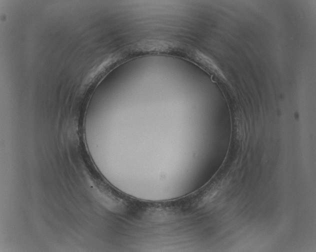 X0000077360538200611031848