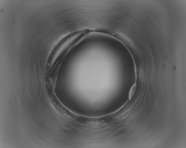 X0000077360540200611031849