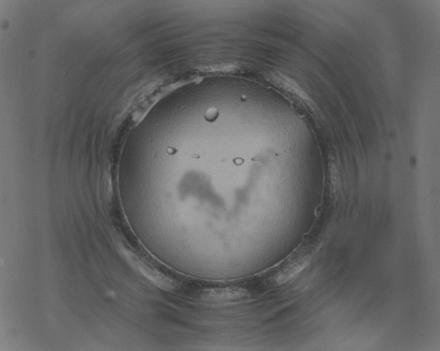 X0000077360541200611031849