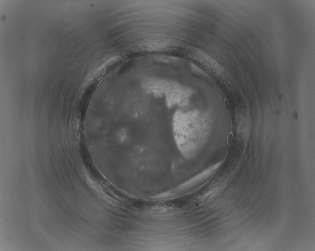 X0000077360542200611031849