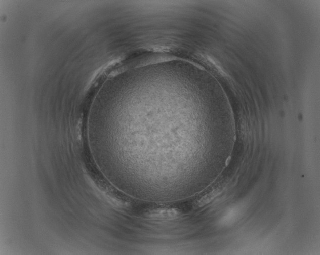 X0000077360543200611031849