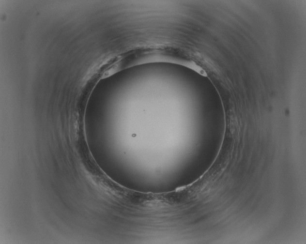 X0000077360544200611031849