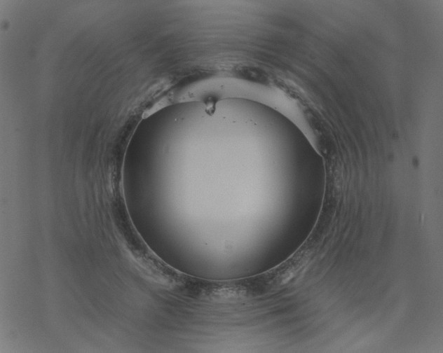 X0000077360546200611031849