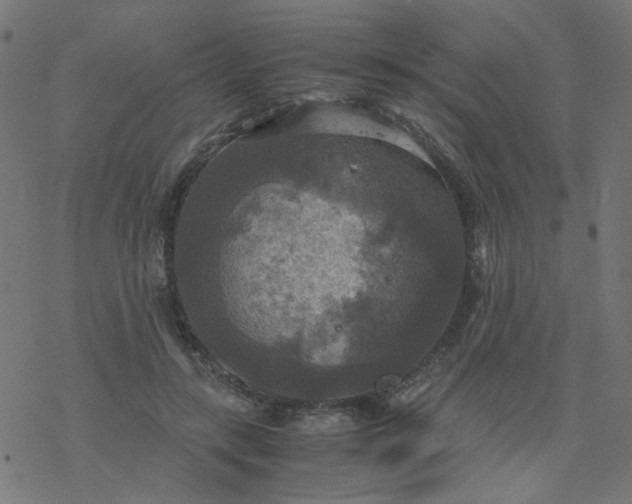 X0000077360547200611031849