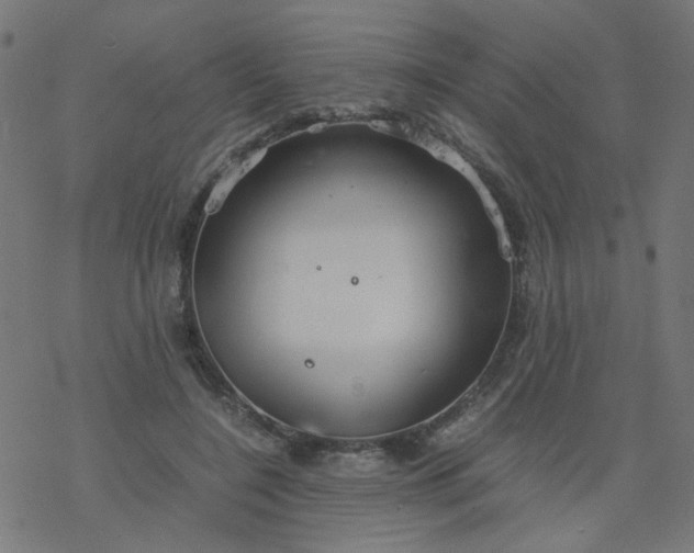 X0000077360548200611031849