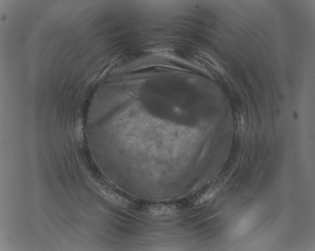 X0000077360549200611031849