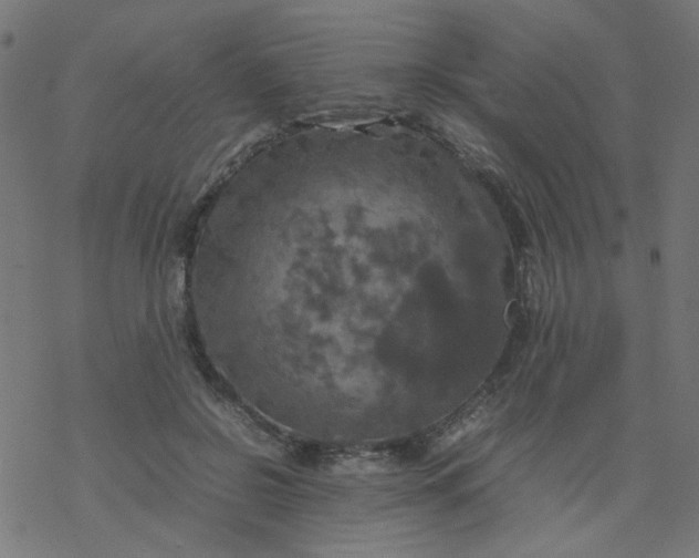 X0000077360550200611031849