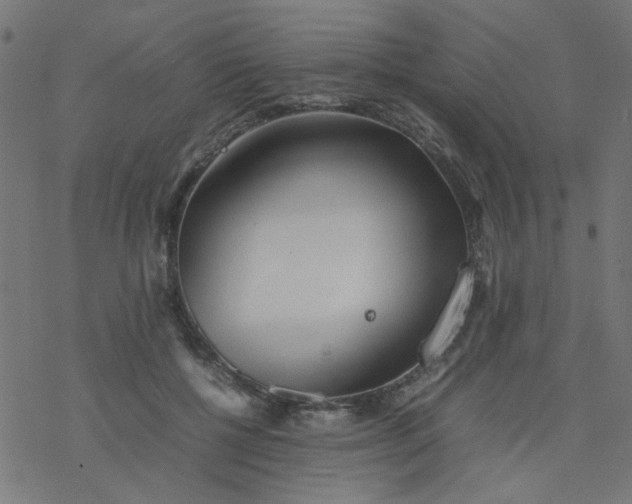 X0000077360552200611031849