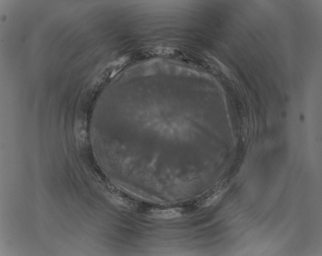 X0000077360553200611031849