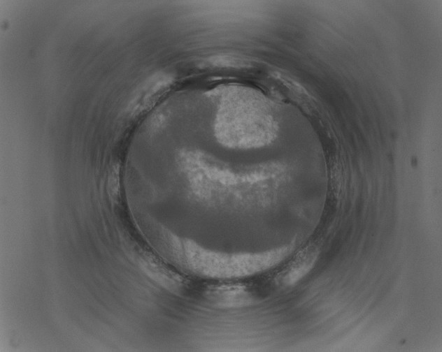 X0000077360554200611031849