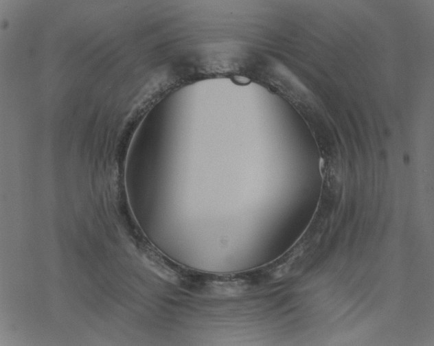 X0000077360556200611031849