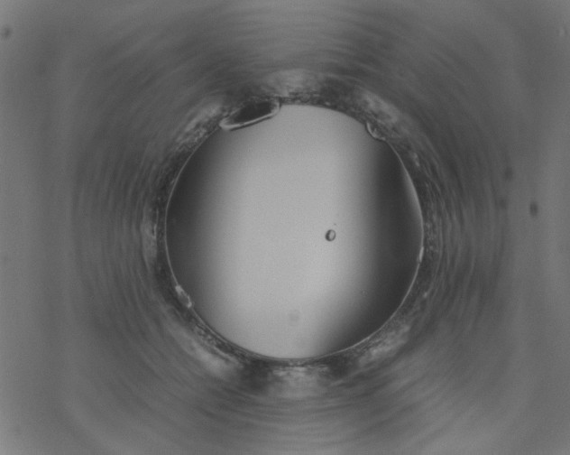 X0000077360558200611031849