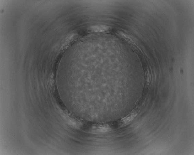 X0000077360559200611031849