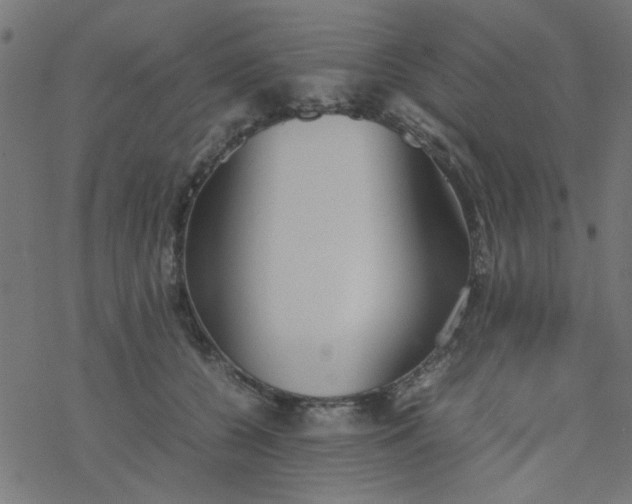 X0000077360560200611031849