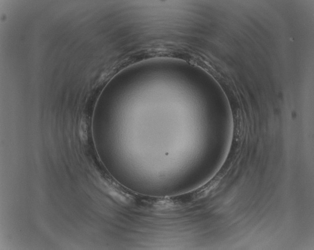 X0000077360562200611031849