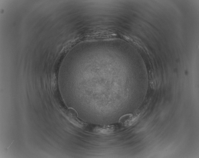 X0000077360563200611031849