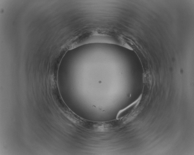 X0000077360564200611031849