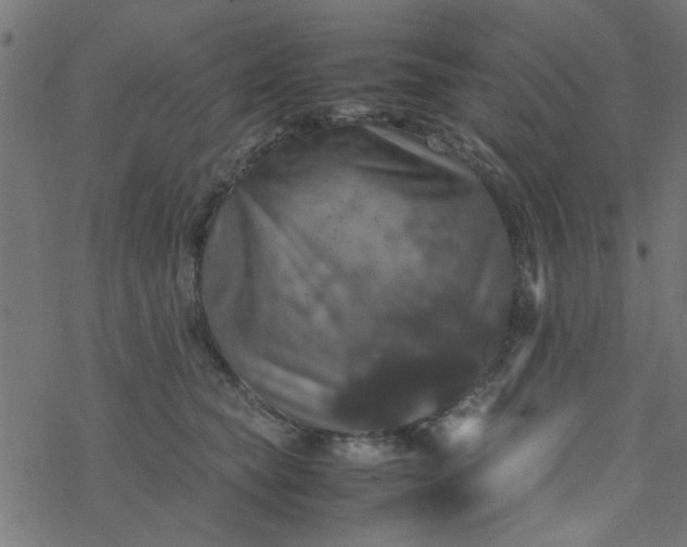 X0000077360565200611031849