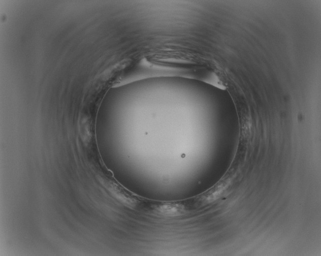 X0000077360566200611031849