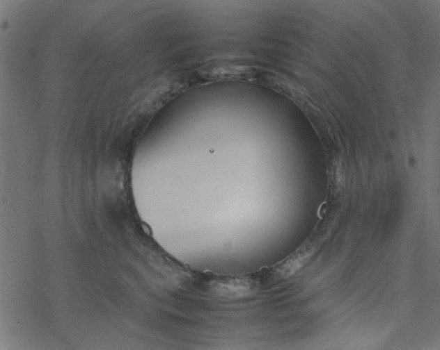 X0000077360567200611031849