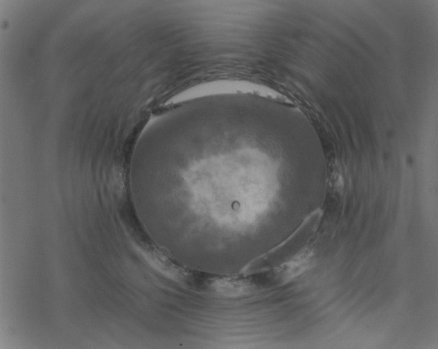 X0000077360568200611031849