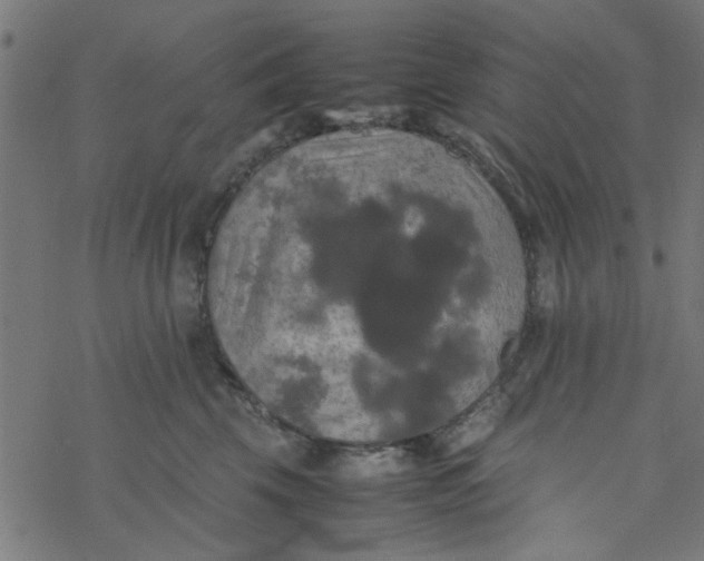 X0000077360569200611031849