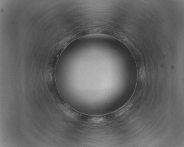 X0000077360570200611031849