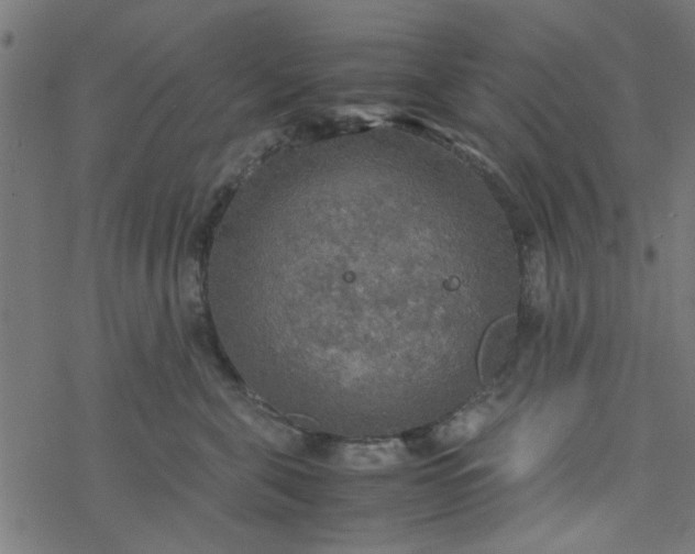 X0000077360571200611031849