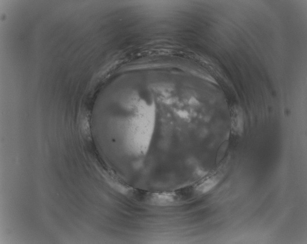 X0000077360573200611031849