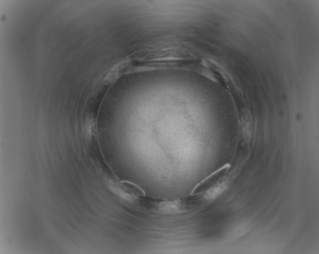 X0000077360574200611031849