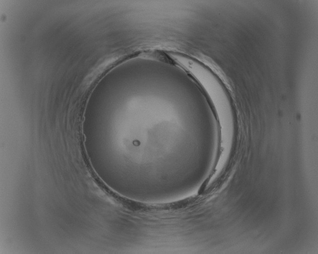 X0000077360577200611031848