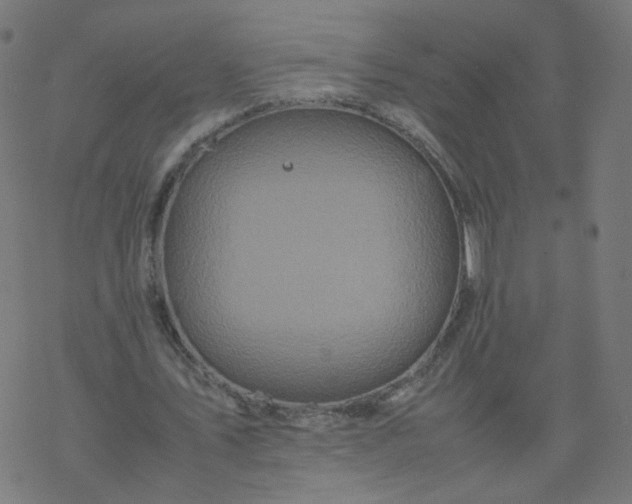 X0000077360579200611031848