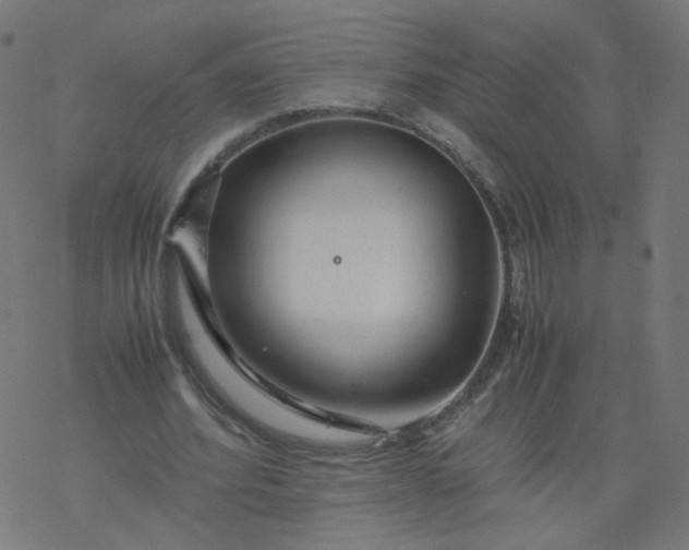 X0000077360580200611031848