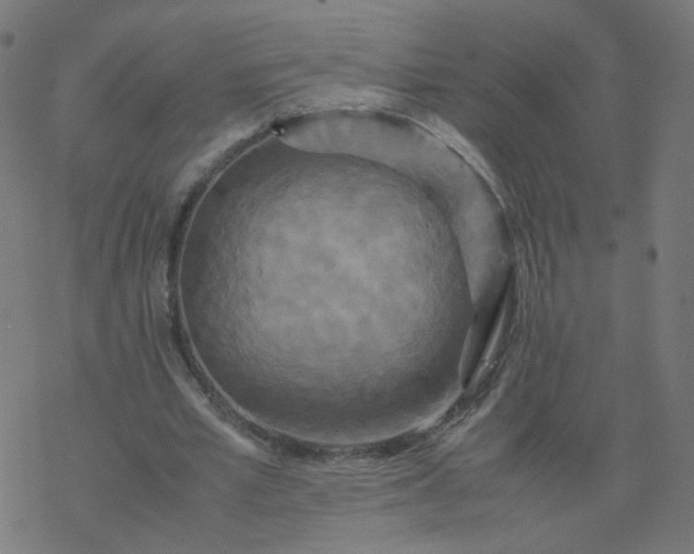 X0000077360581200611031848