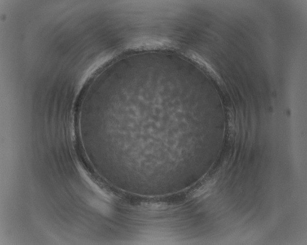 X0000077360582200611031848