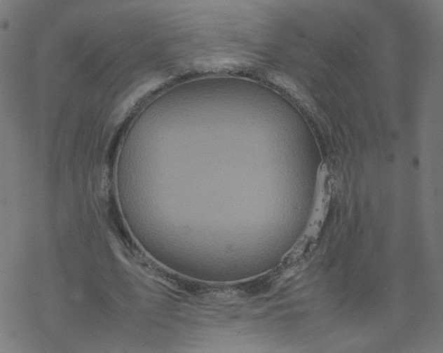 X0000077360583200611031848