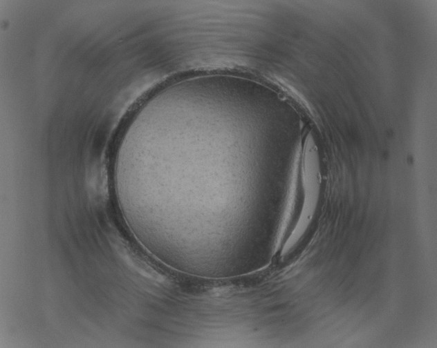 X0000077360584200611031848