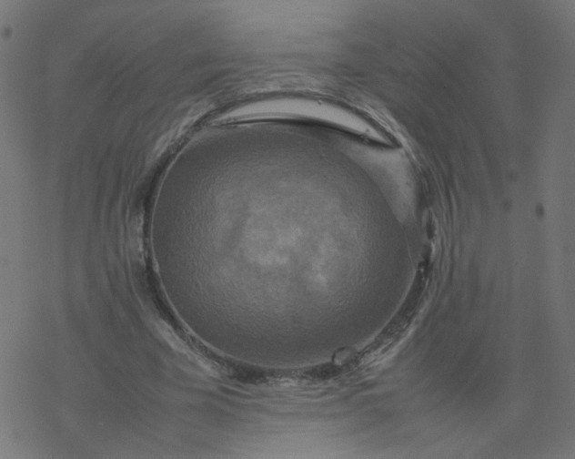 X0000077360585200611031848