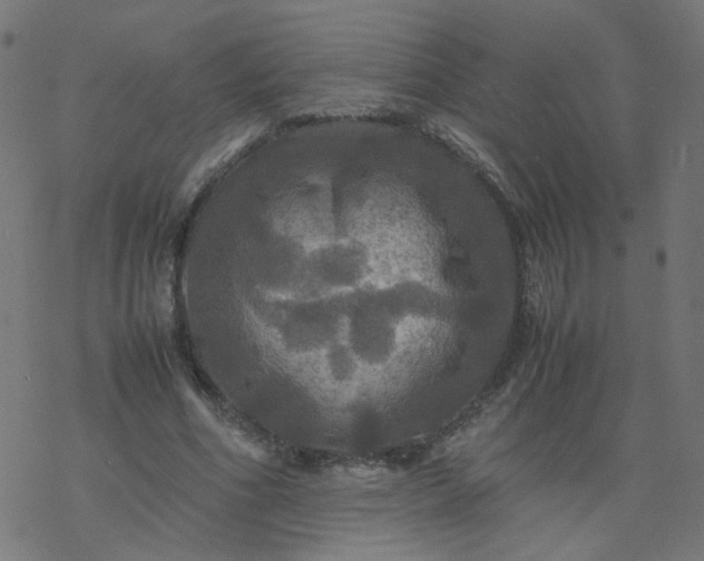 X0000077360586200611031848